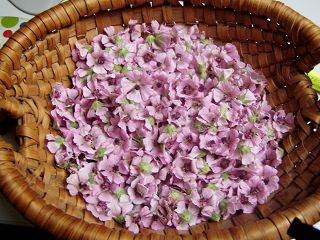 blüten