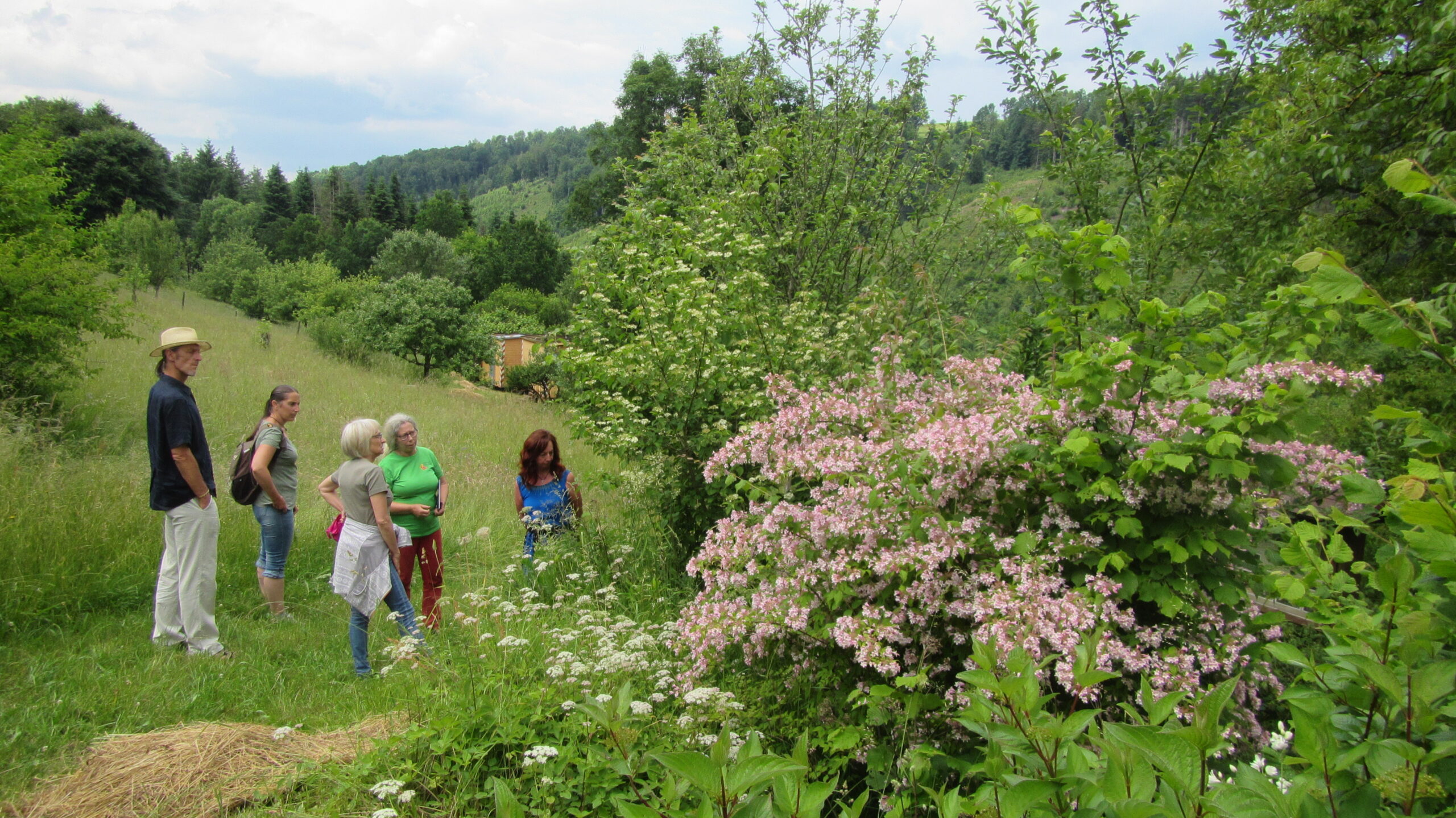 Kräuter aktiv kennenlernen